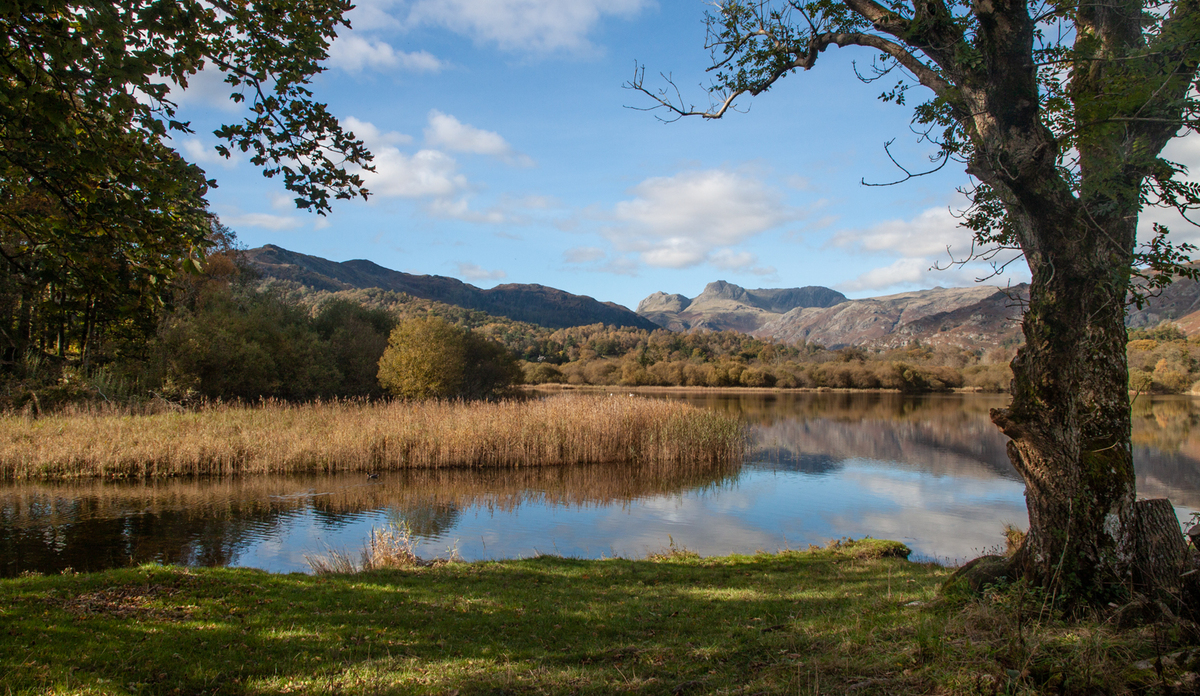 View to the Langdales - Graham Dean